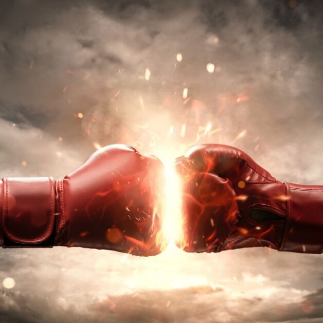 Beating Recession with A Black Belt-3