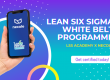 Lean Six Sigma White Belt Programme