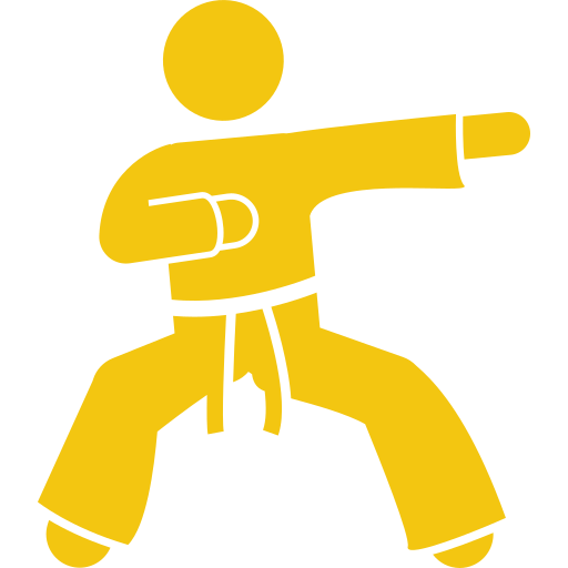 LSS  Yellow Belt